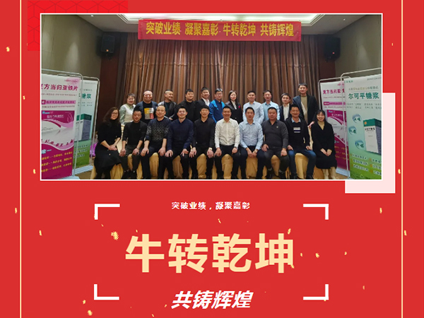 突破業(yè)績、凝聚嘉彰、牛轉(zhuǎn)乾坤、共鑄輝煌